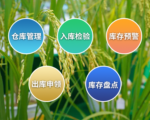 育種數(shù)據(jù)管理系統(tǒng)