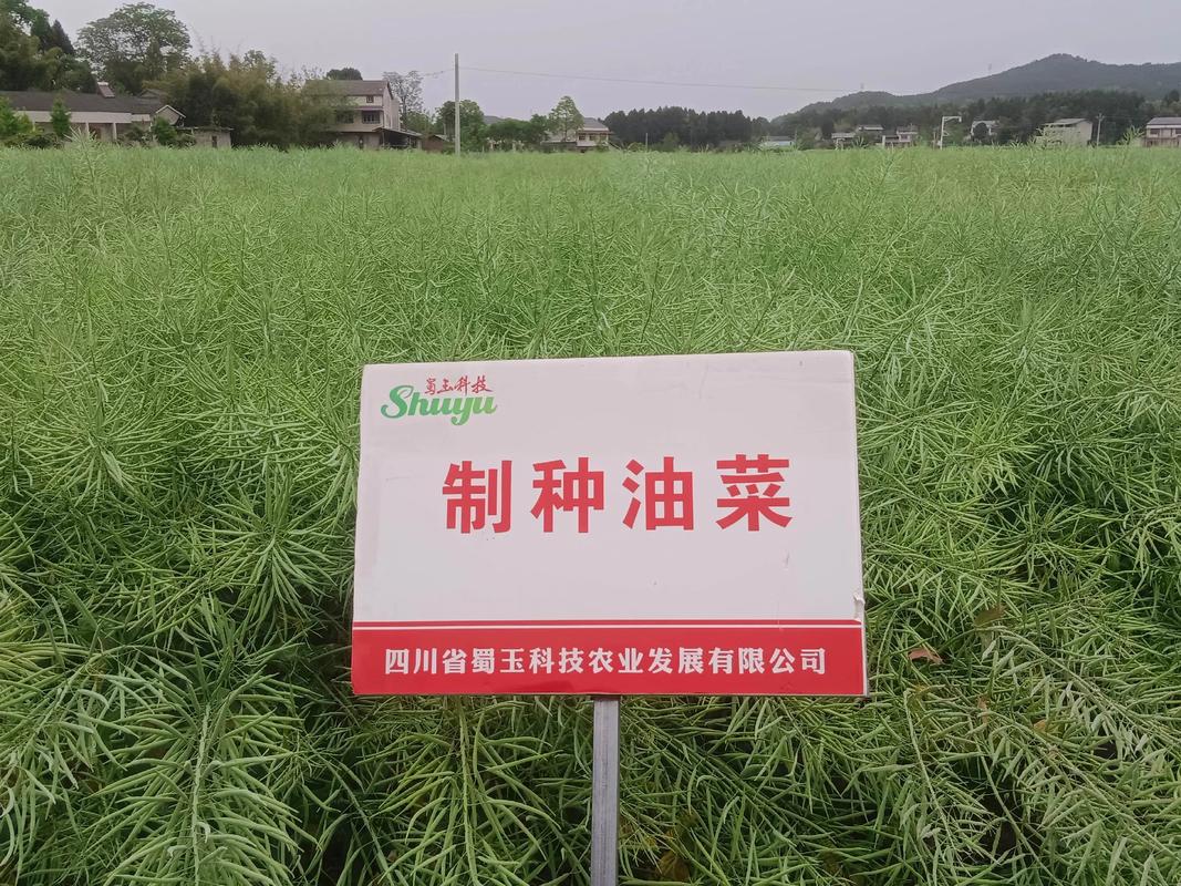 數(shù)字化制種軟件