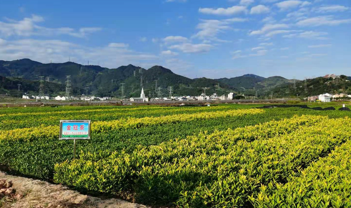 種業(yè)ERP軟件